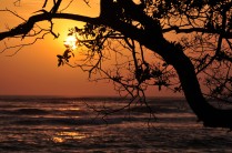 Guanacaste Sunset